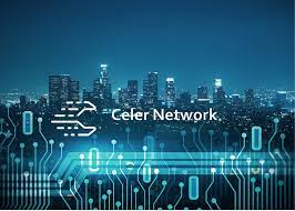 celer network review full
