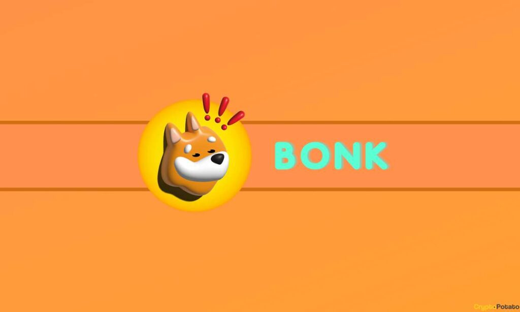 Bonk Coin Review
