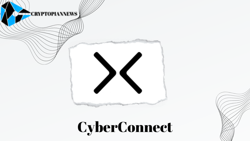 CyberConnect review