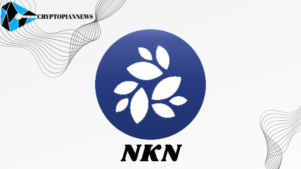 NKN review