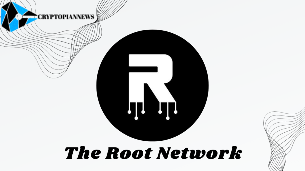 The Root Network review