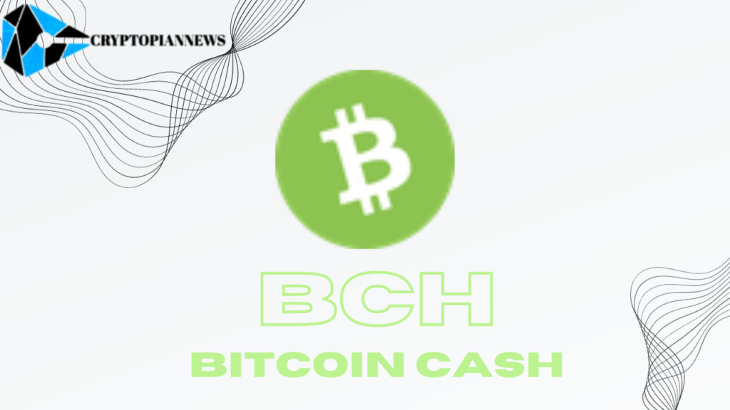 BITCOIN-CASH-BCH-update