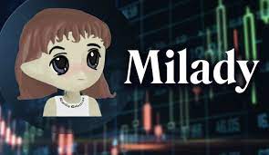 Why Milady Meme Coin Pricing Increasing