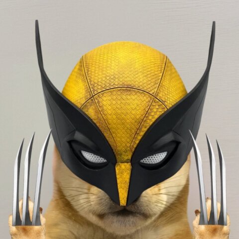 Curious about Dogwifhat (WIF)? Get insights on its meteoric rise, price trends, and future potential in the crypto market.