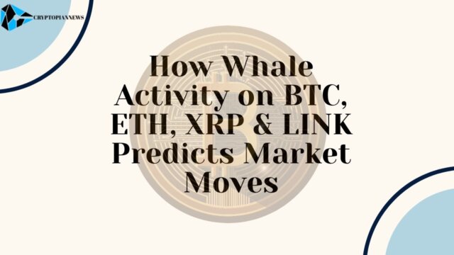 whale activity predicts crypto market movement