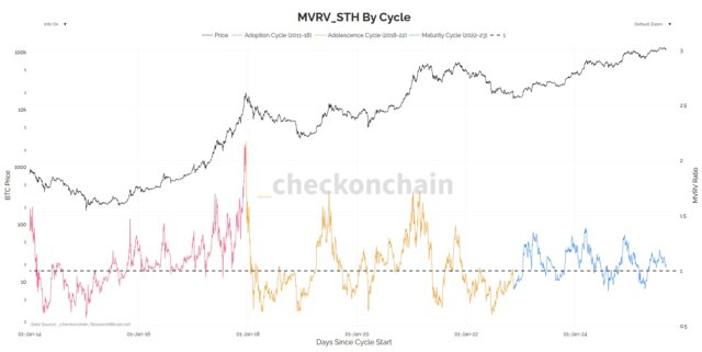 BTC halving cycle