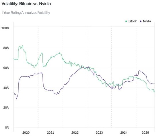 Bitcoin vs Navadia volatility chart explain by bitwise.