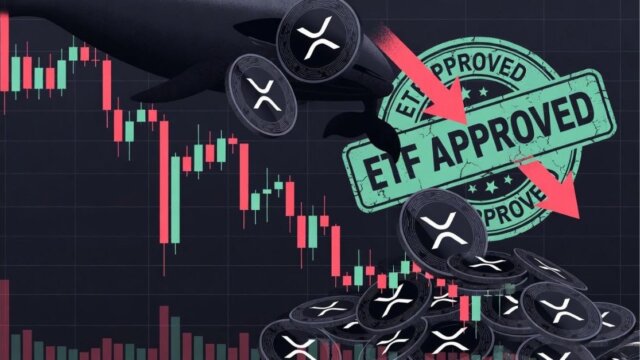 XRP coins falling in a red stormy market despite distant ETF approval sign